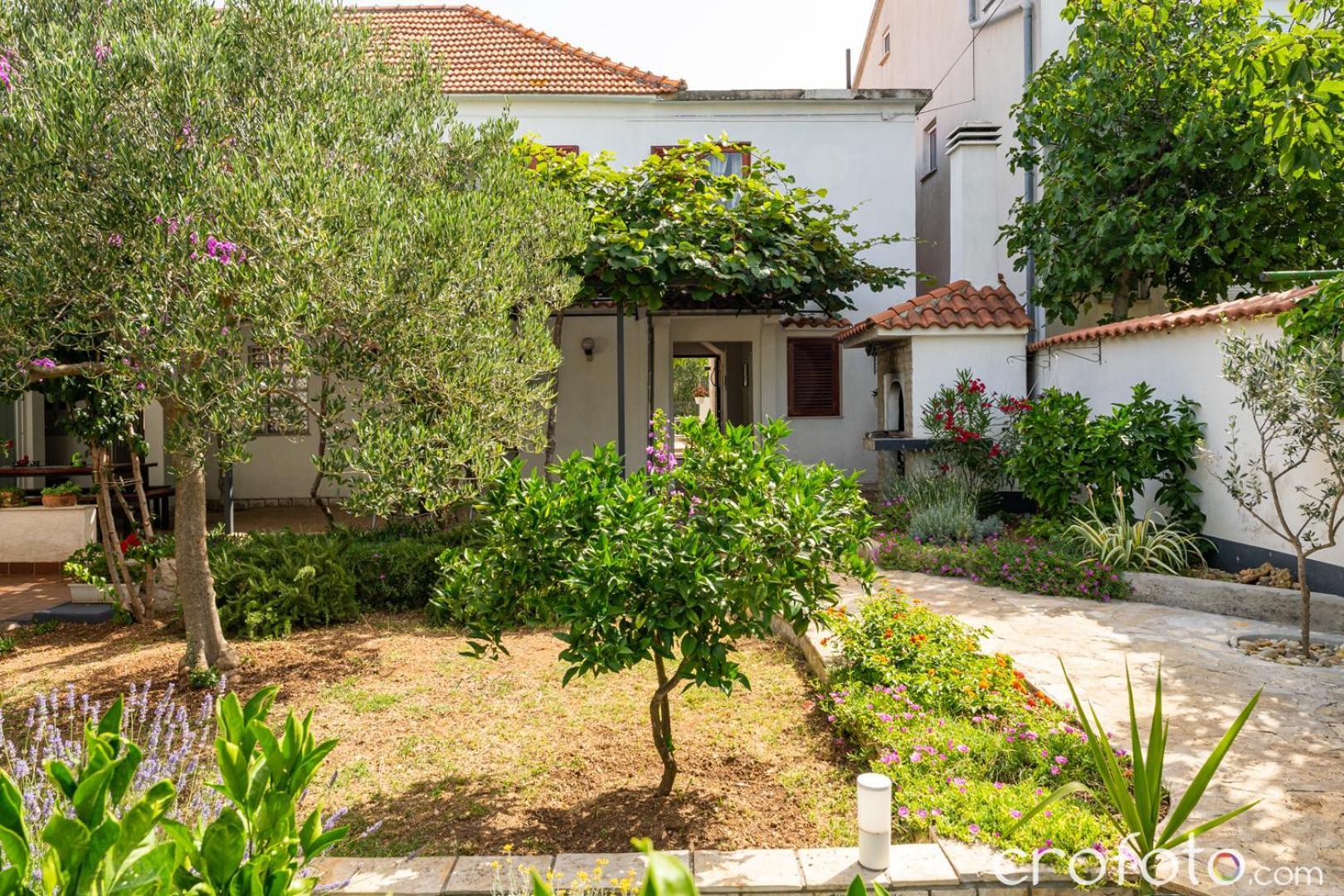 Vinka Biograd Na Moru Exterior foto